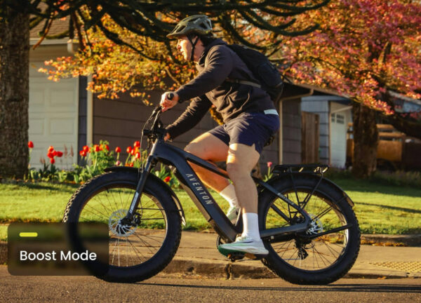 Aventon – Aventure 3 Ebike Aventon – Aventure 3 Ebike