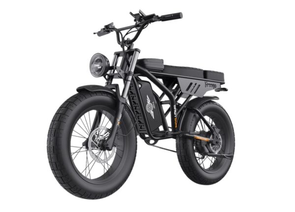 Freego Shotgun Prime F2 Pro Electric Cargo Bike Freego Shotgun Prime F2 Pro Electric Cargo Bike