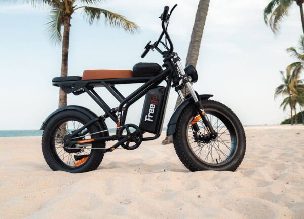 Freego Shotgun Prime F2 Pro Electric Cargo Bike Freego Shotgun Prime F2 Pro Electric Cargo Bike