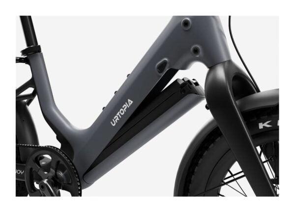 Carbon Joy Ultra E-Bike Carbon Joy Ultra E-Bike