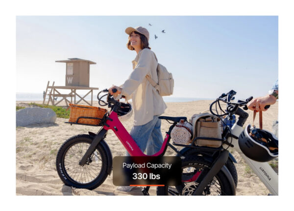 Carbon Joy Ultra E-Bike Carbon Joy Ultra E-Bike