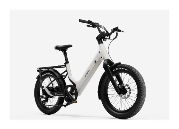 Carbon Joy Ultra E-Bike Carbon Joy Ultra E-Bike