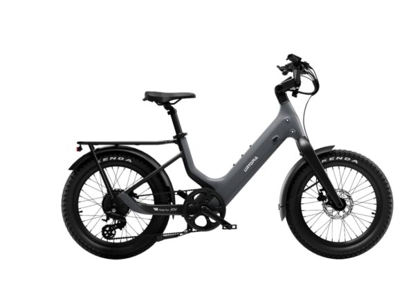 Carbon Joy Ultra E-Bike Carbon Joy Ultra E-Bike