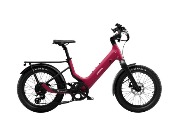 Carbon Joy Ultra E-Bike Carbon Joy Ultra E-Bike