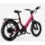 Carbon Joy Ultra E-Bike Carbon Joy Ultra E-Bike
