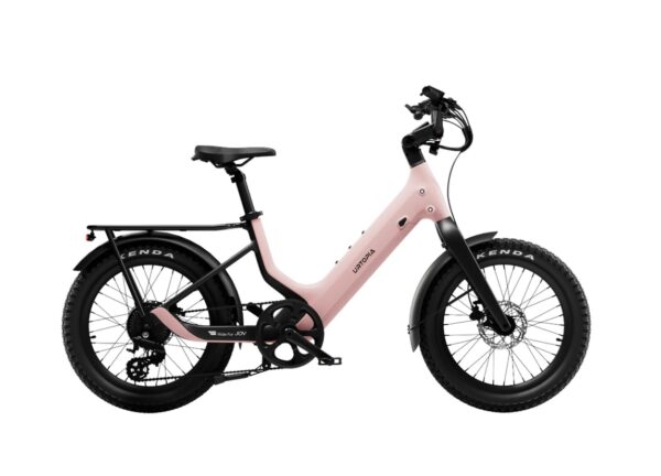 Carbon Joy Ultra E-Bike Carbon Joy Ultra E-Bike