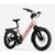 Carbon Joy Ultra E-Bike Carbon Joy Ultra E-Bike