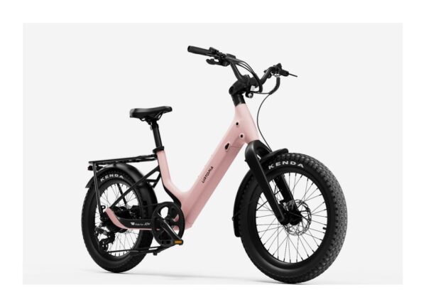 Carbon Joy Ultra E-Bike Carbon Joy Ultra E-Bike