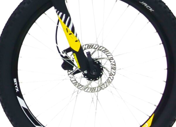 BULLS BIKE TWENTY4 E BULLS BIKE TWENTY4 E